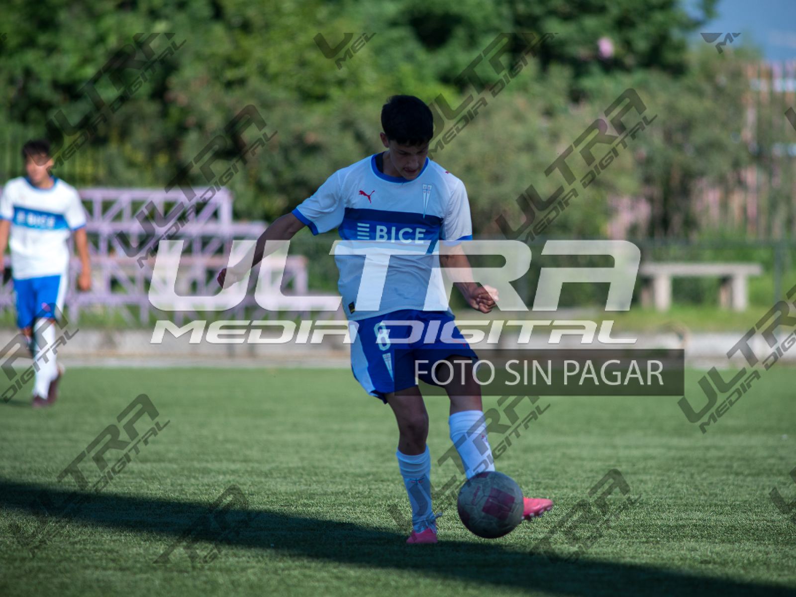 TOKO_ABRIGO-87