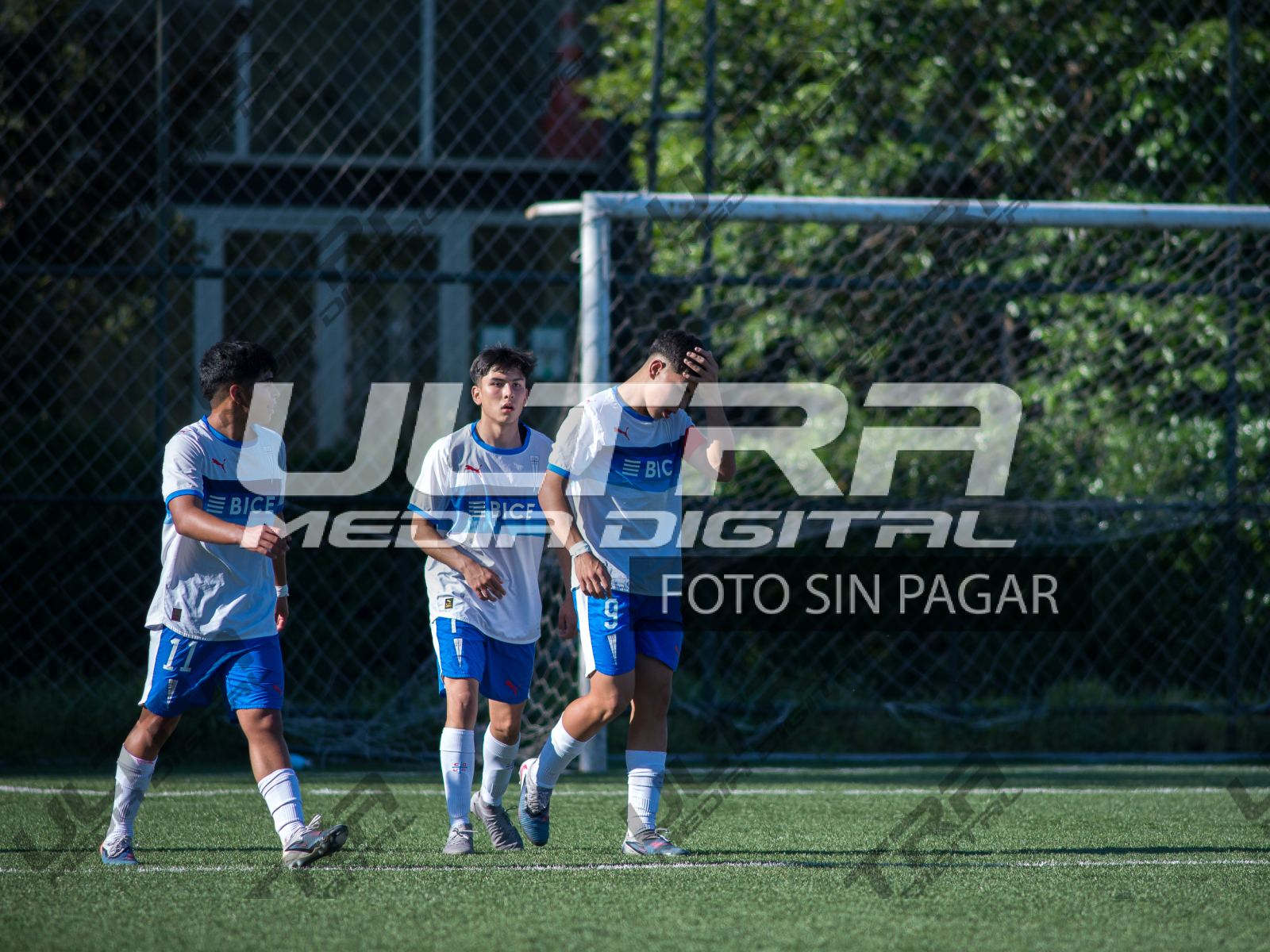 TOKO_ABRIGO-102