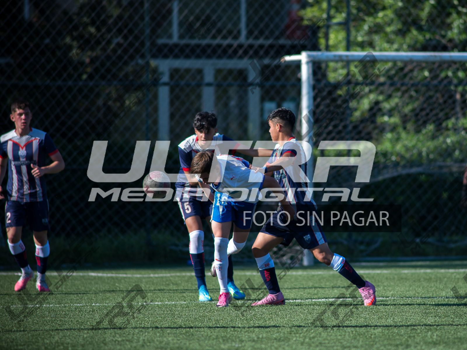 TOKO_ABRIGO-116