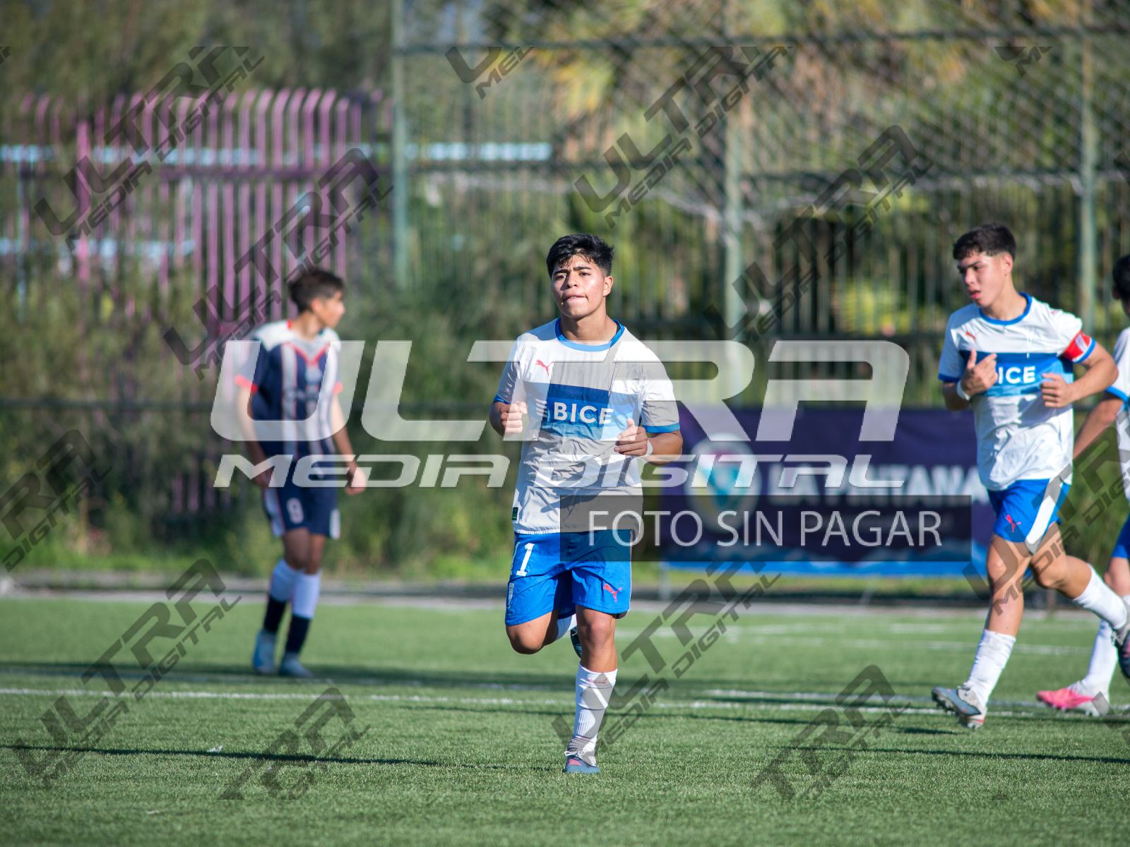 TOKO_ABRIGO-136