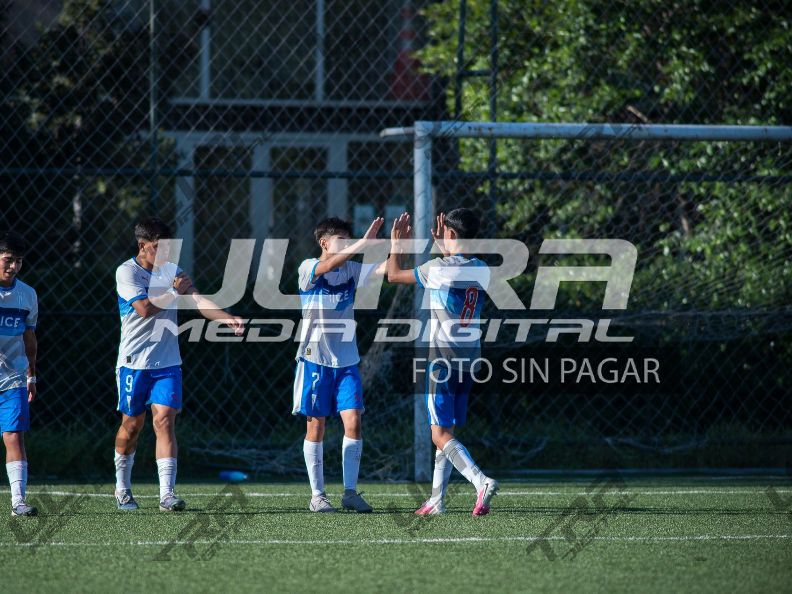 TOKO_ABRIGO-154