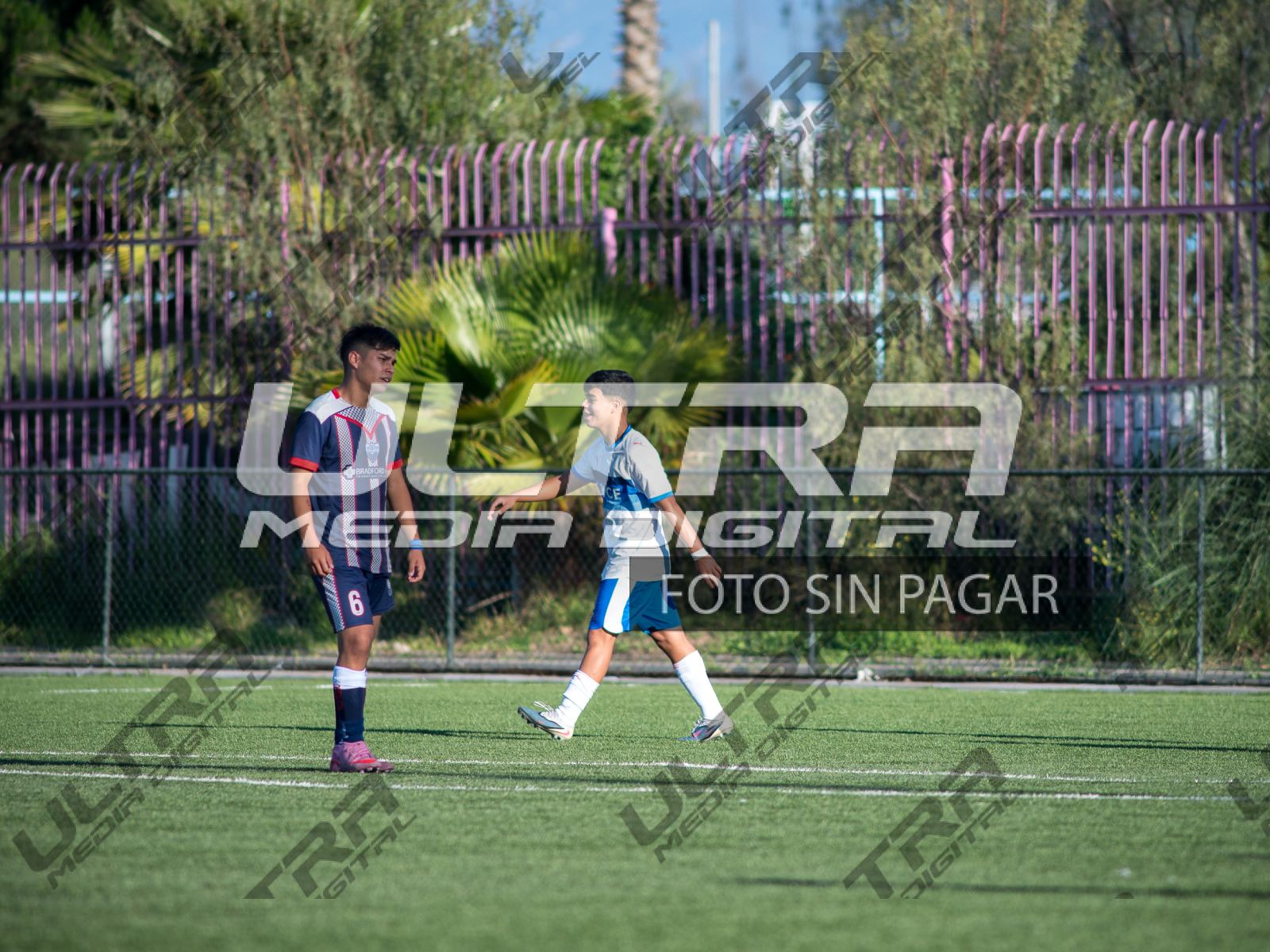 TOKO_ABRIGO-236